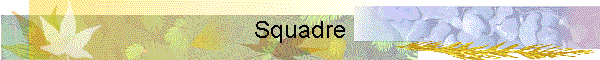Squadre