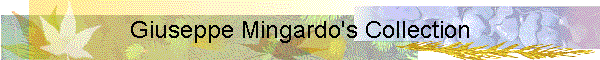 Giuseppe Mingardo's Collection