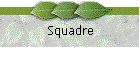 Squadre