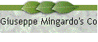 Giuseppe Mingardo's Collection