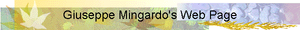 Giuseppe Mingardo's Web Page